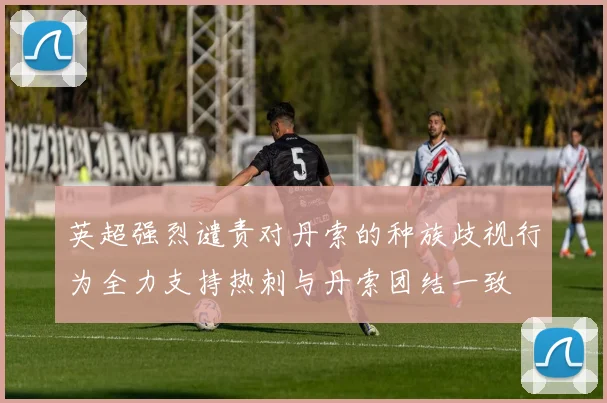 英超强烈谴责对丹索的种族歧视行为全力支持热刺与丹索团结一致
