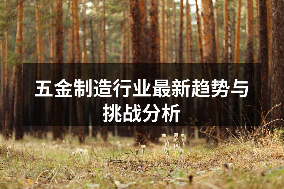 五金制造行业最新趋势与挑战分析